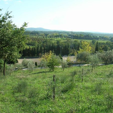 Capranica Casale Sant'Elia Bed & Breakfast エクステリア 写真