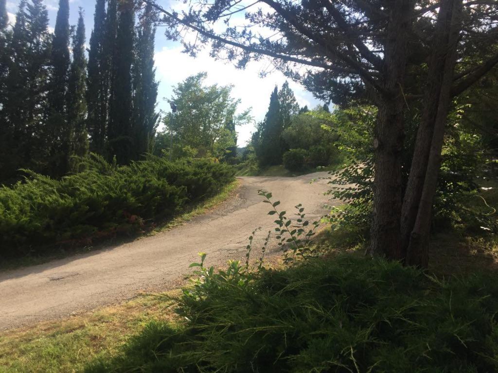 Capranica Casale Sant'Elia Bed & Breakfast エクステリア 写真